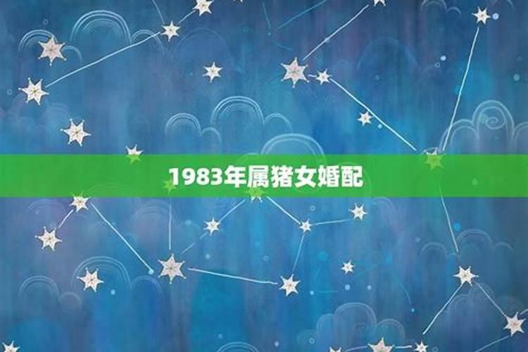 1983年属猪女人的财运