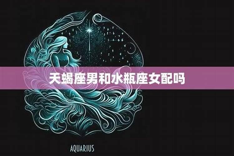 天蝎座男和水瓶女星座配吗