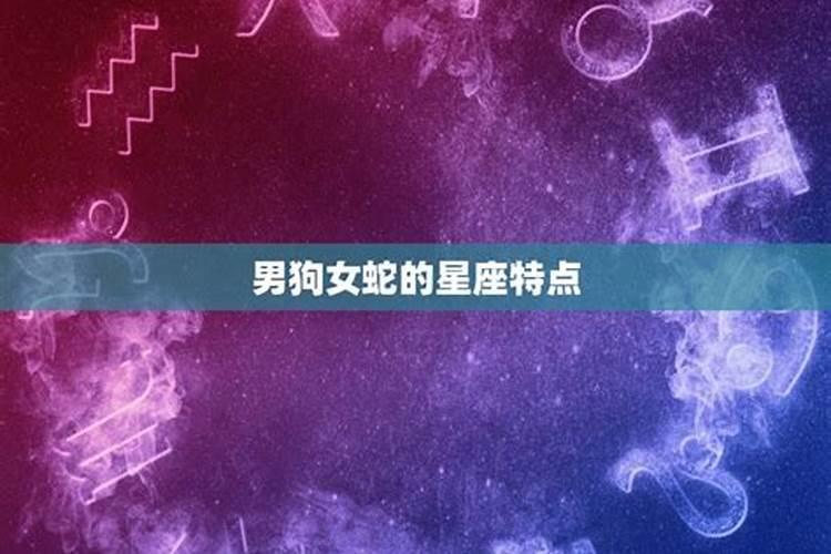 农历二月的蛇是什么星座