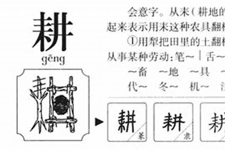 耕字五行属什么