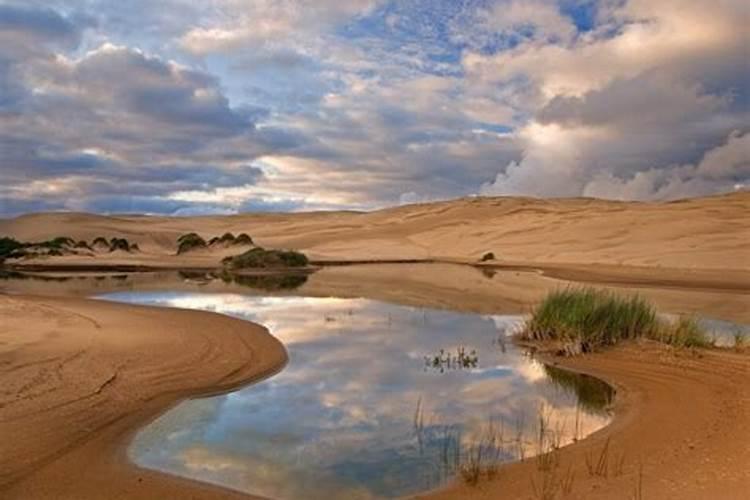 梦见沙漠有水什么意思