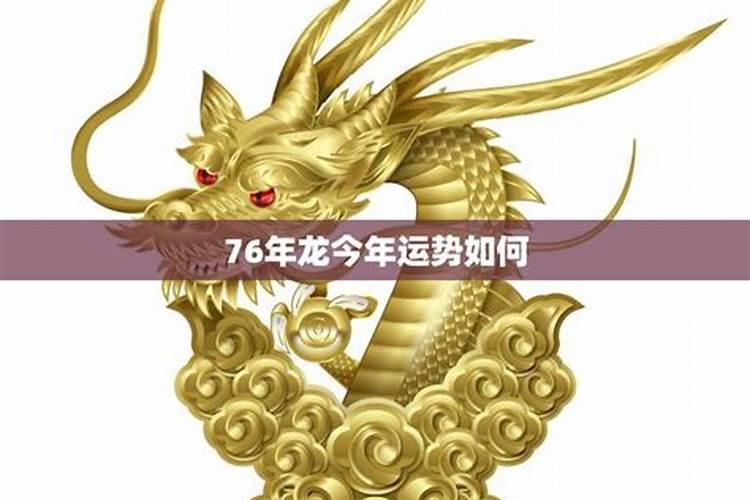 76年生肖龙今年财运