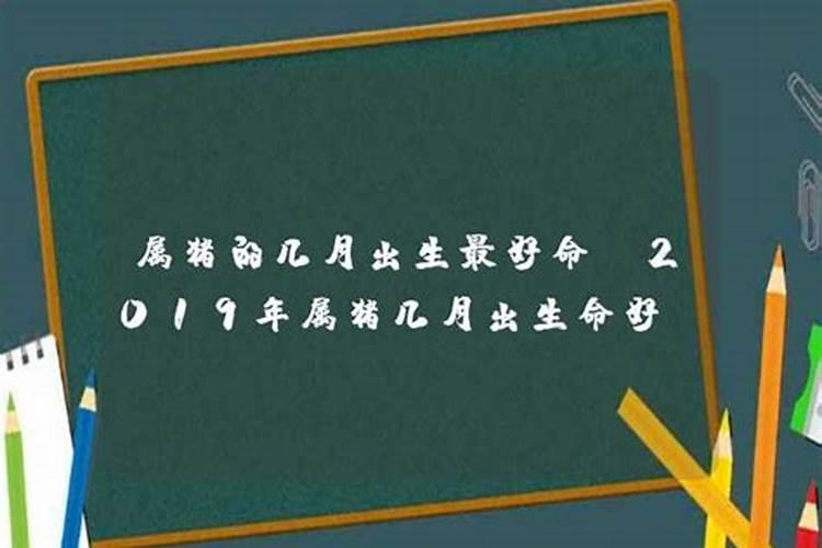 2019年属猪几月旺父母