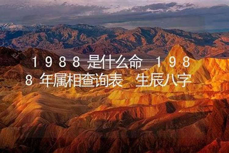 1988是什么命属什么命