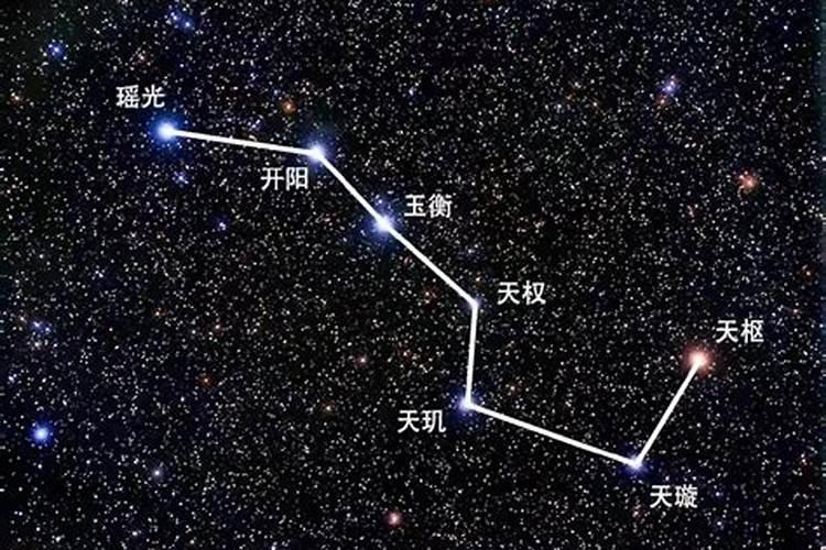 属蛇的是什么星座