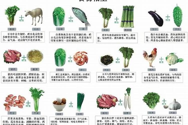 蔬菜五行属什么属性