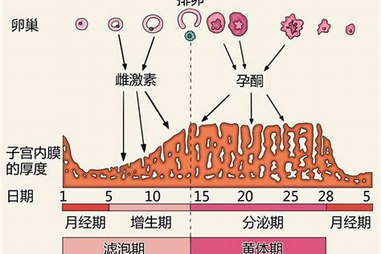 一个人格局要大