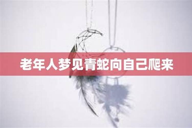 女人梦见一条青蛇向自己爬来