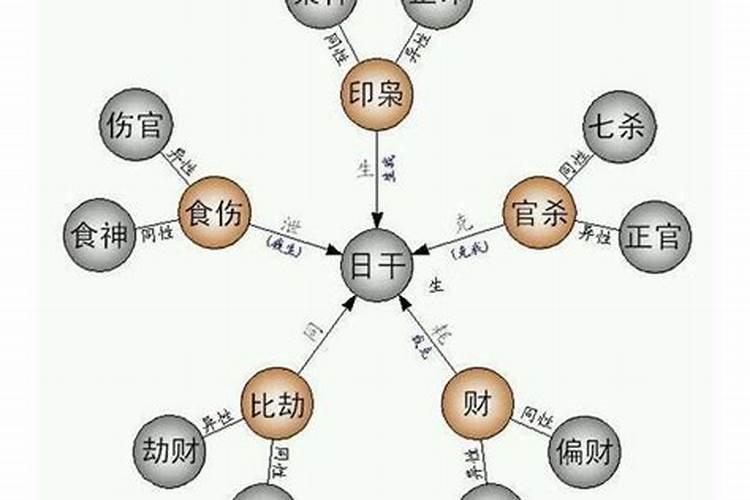 忌财星食伤是什么意思