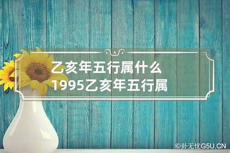 1995乙亥年五行属什么