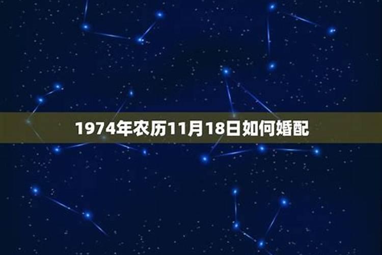 1974年属虎的婚配属相