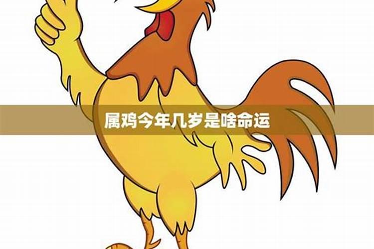 属鸡今年几岁了2020