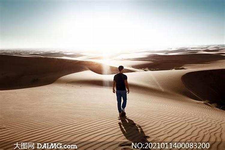 梦见在沙漠里行走,旁边有个人看着我