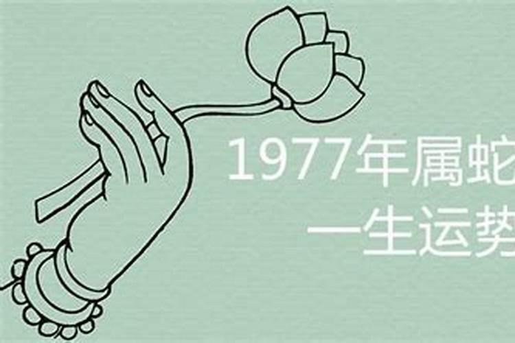 1977年属蛇和属蛇的婚姻如何