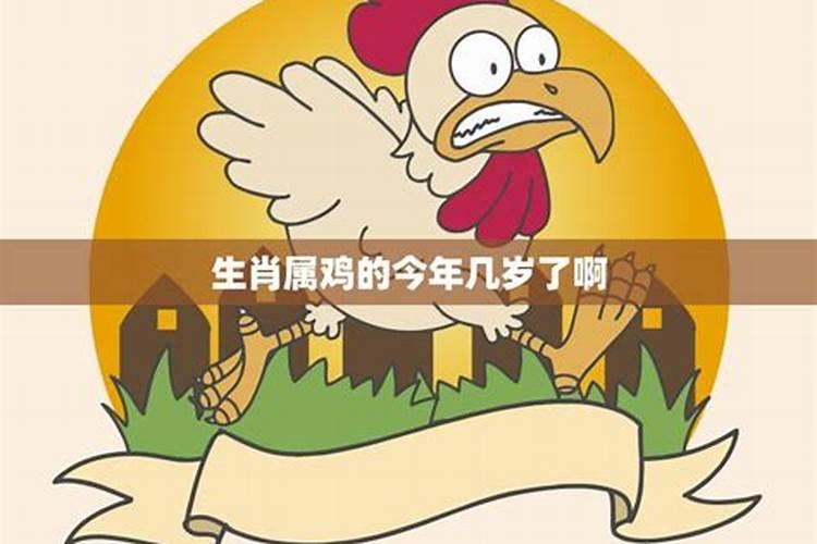 今年属鸡多大岁数了