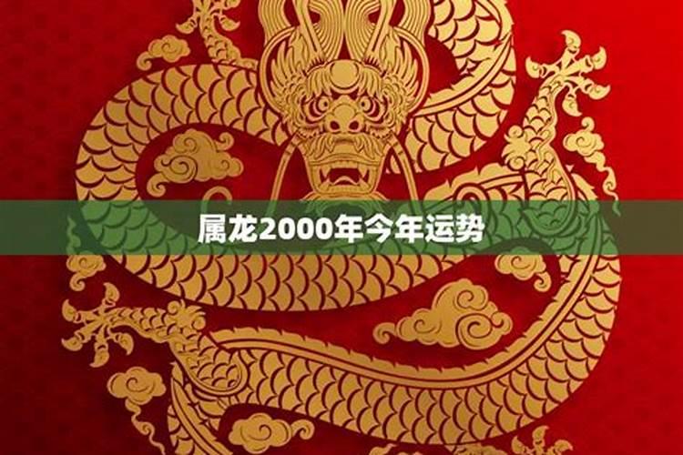 2000龙生肖