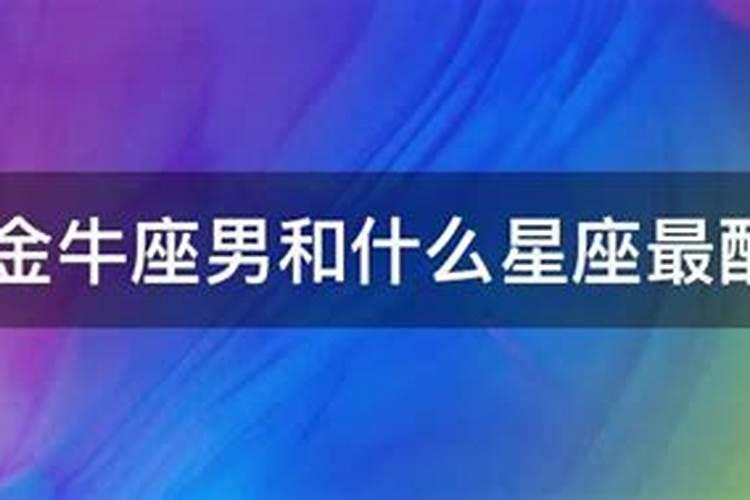 金牛男和摩羯男哪个聪明