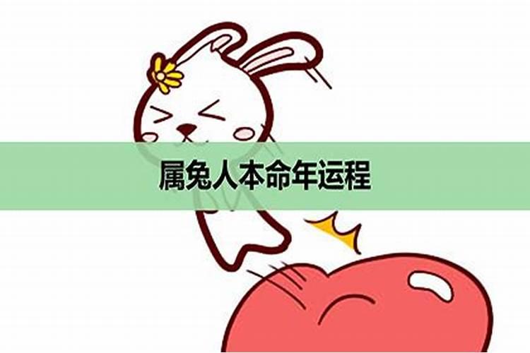 63年属兔人本命年运势怎样