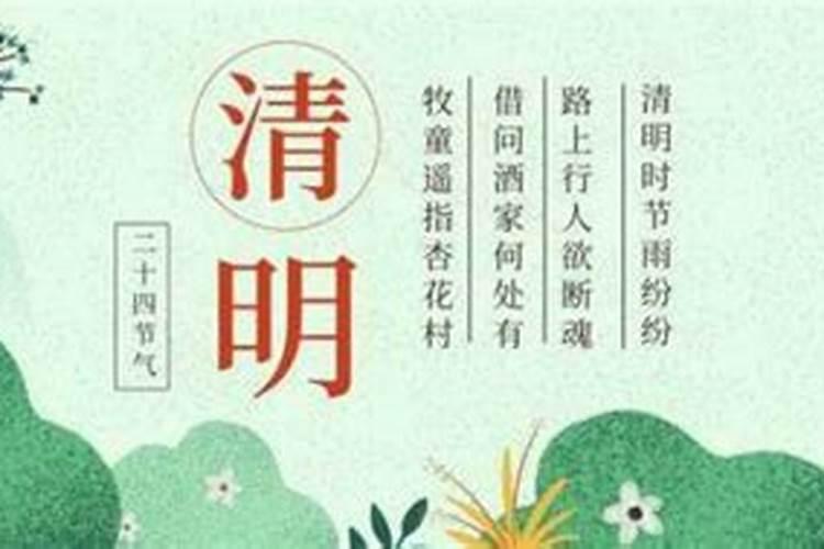 四月四日清明节是指什么生肖