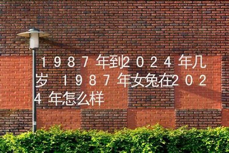 87年虚岁2022年多大