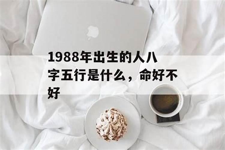 1988年属龙生兔宝宝好吗