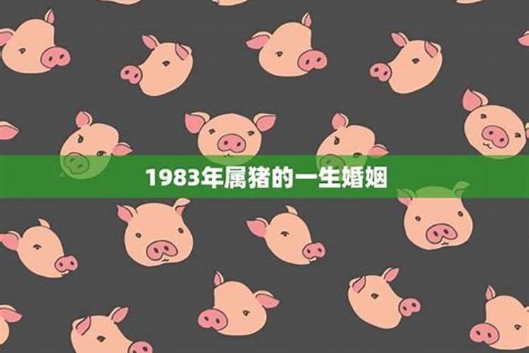 1983年属猪的运势