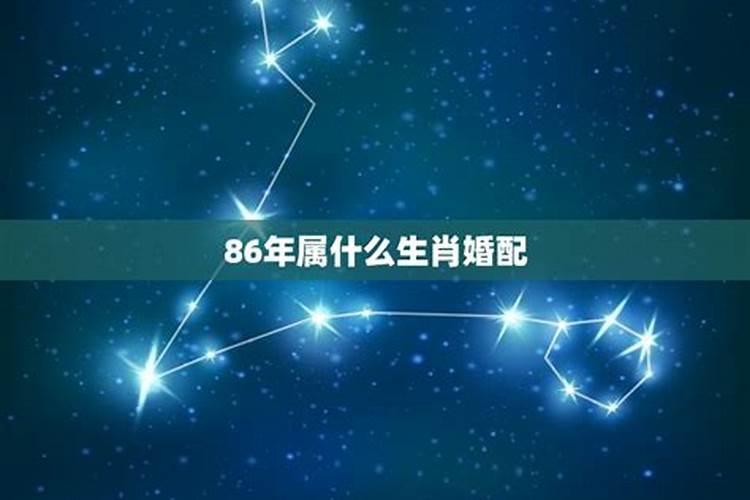 生肖86年属什么生肖