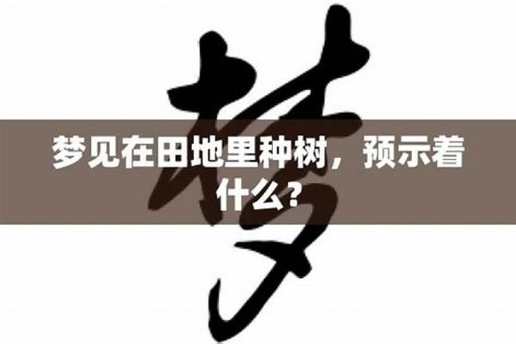 梦见种树是什么意思?