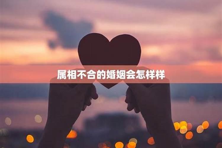 属相不合可以结婚吗