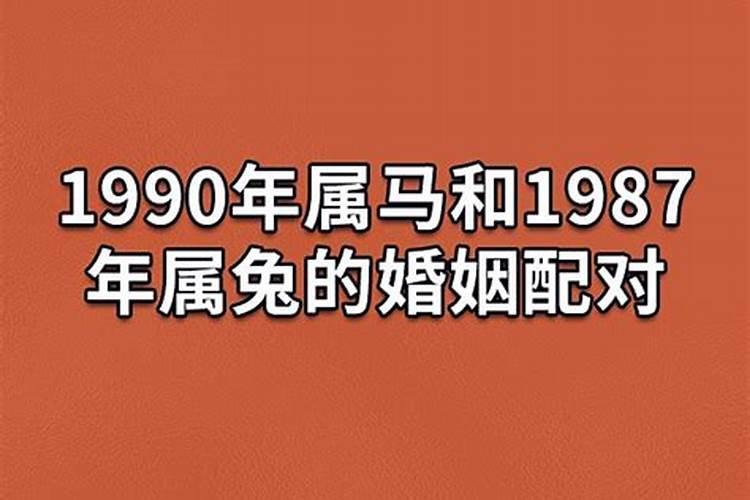 87年的兔婚姻配对