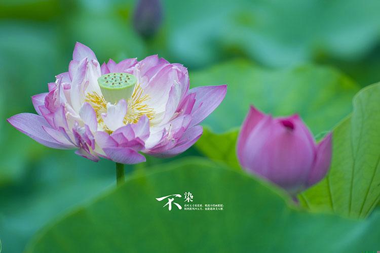 大门朝北的风水禁忌是什么