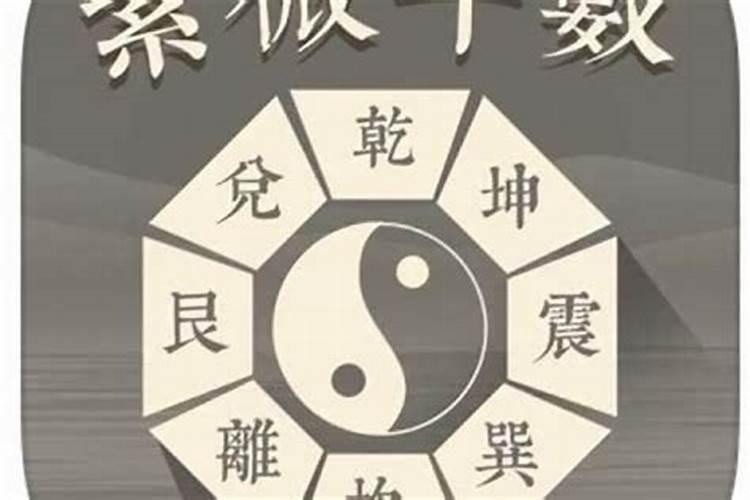 紫薇八字六爻哪个好入门