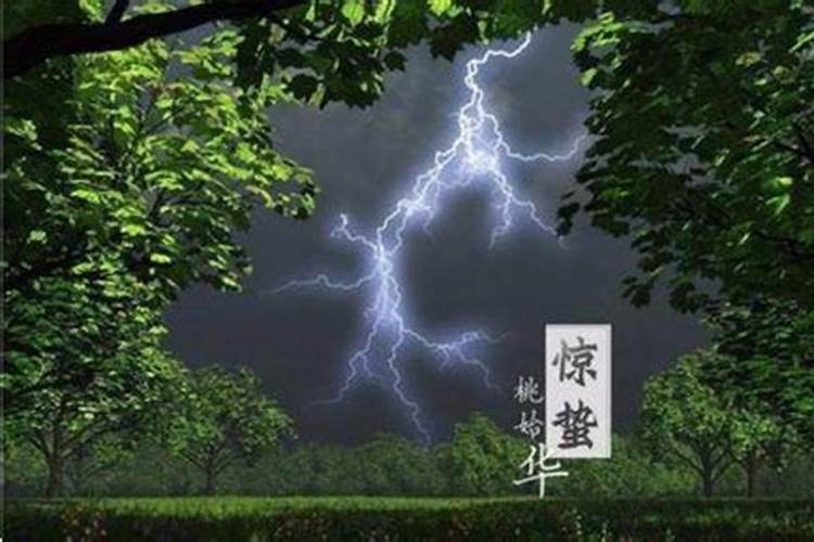 打雷下雨指什么生肖动物