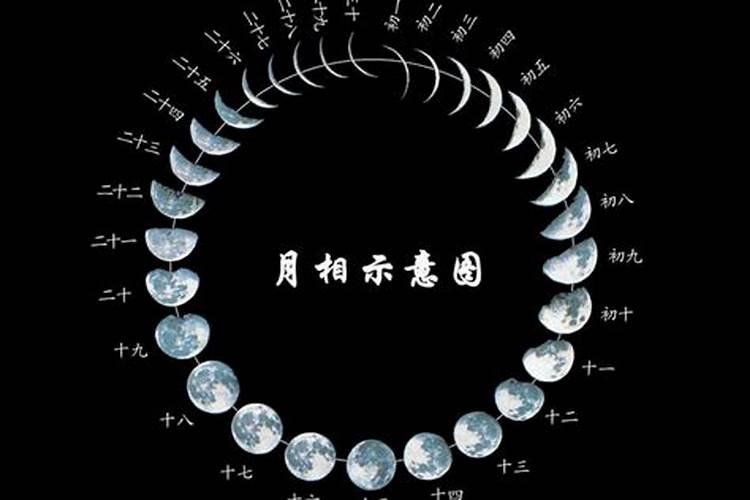 1981年7月16日农历是什么星座