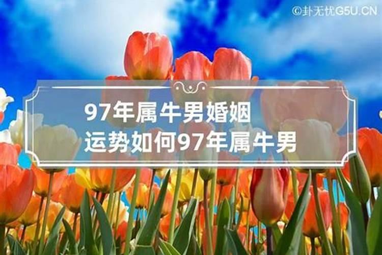 97年属牛男人一生命运