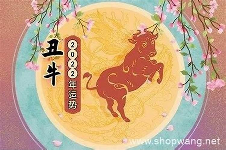 97年属牛男孩今年运势好不好呀怎么样