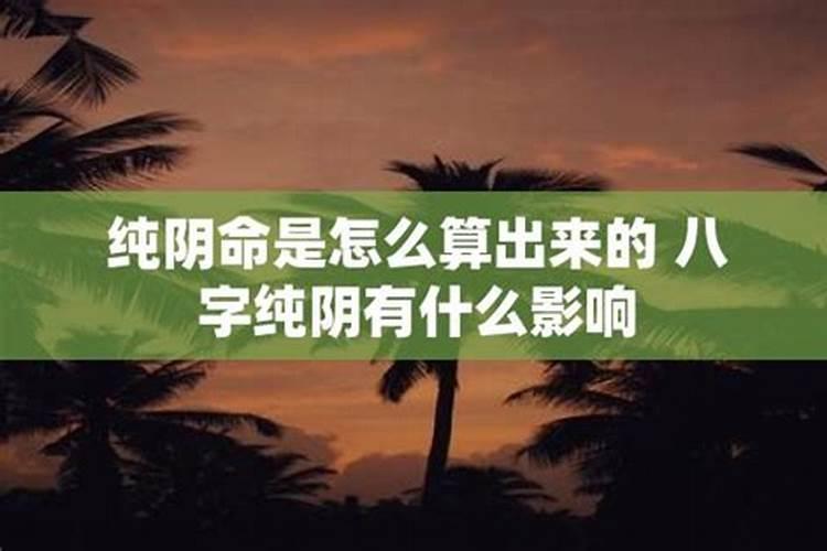 纯阳的人为什么不给算命