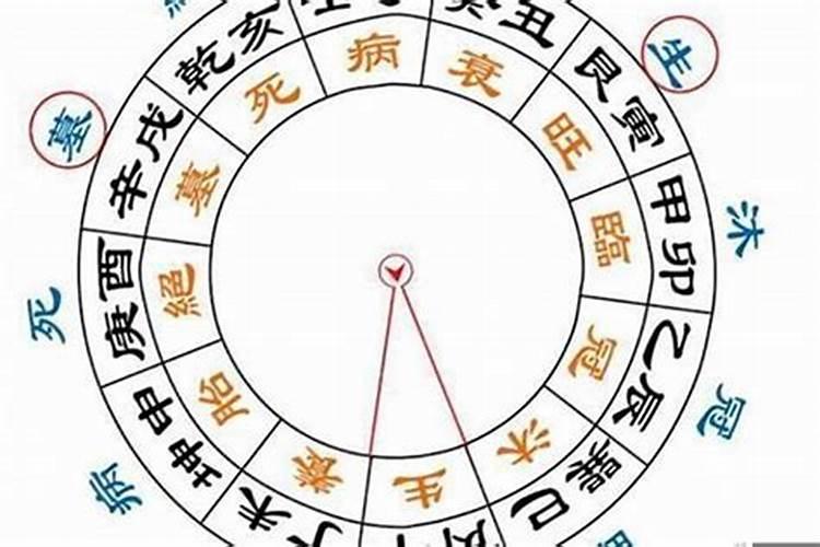 八字月柱正财坐伤官