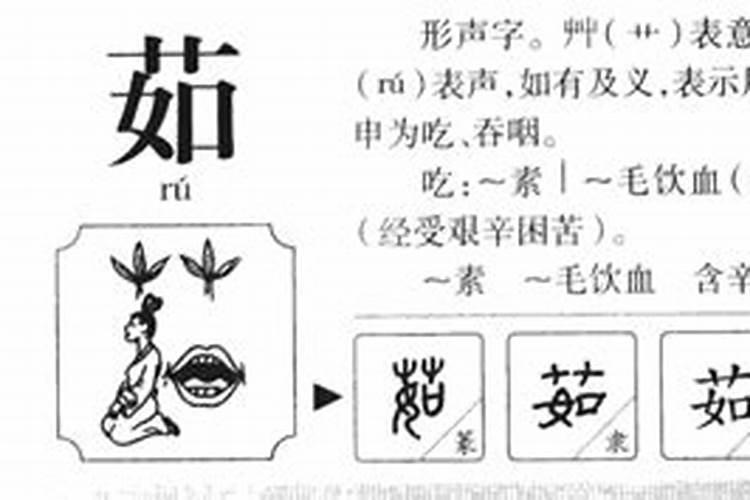 茹字五行属什么