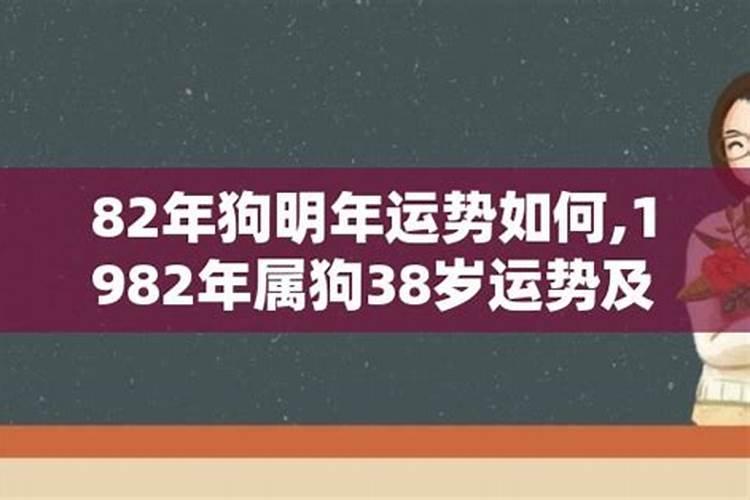 1982年属狗明年运程如何