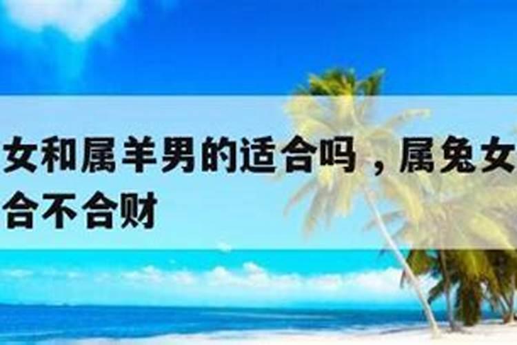 属羊男和属兔女合不合