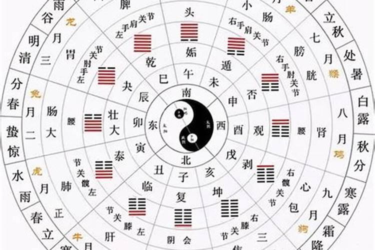 2.13是什么星座