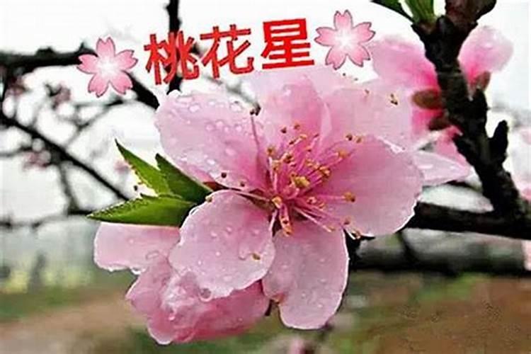 命里带桃花的八字