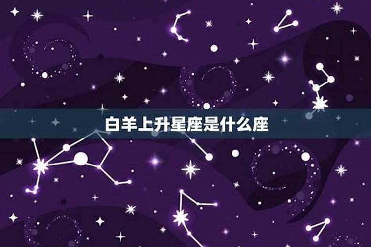 白羊座太阳星座月亮星座上升星座查询