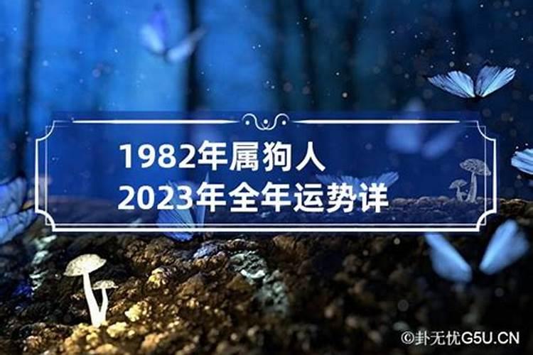 1982属狗人2023年每月运势及运程