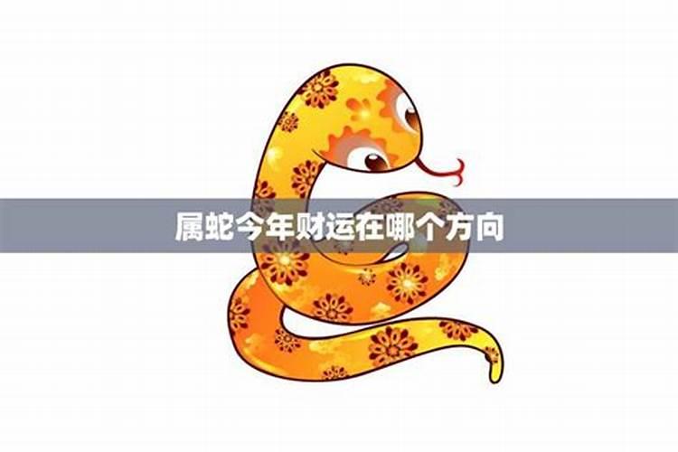 属蛇的今年财运怎么样2021年运势如何