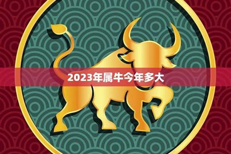 2009年属牛今年多大