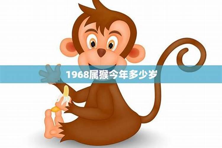 属猴寿命多长1968年