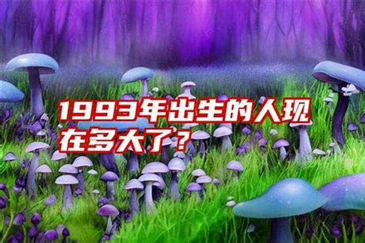 1993年出生今年多大