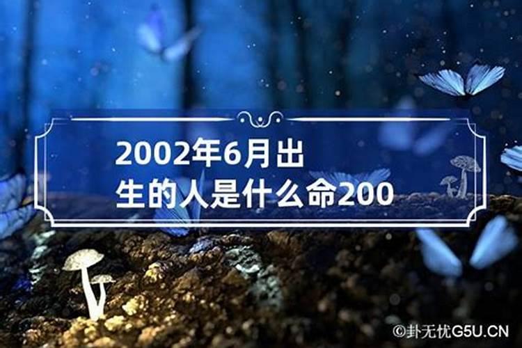 2002年出生的人是什么命